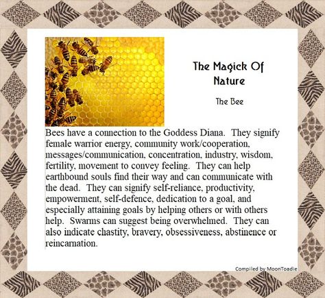 Bee Spirit Animal, Wicca Candles, Animal Symbols, Altar Art, Animal Spirit Guides, Animal Spirit, Animal Symbolism, Magical Life, Bee Balm