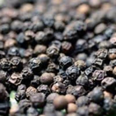 Pimienta negra se utiliza en los hechizos y encantamientos que destierran la negatividad y proporcionar protección. Puedes quemar pimienta negra para librar tu casa de energías negativas en lugar utilizar la salvia. También puedes llevar a granos de pimienta negra contigo como amuleto de protección contra la envidia y estos te ayudarán a liberar tu mente de celos. La pimienta, además, se utiliza para promover el valor. Mezclala con sal y dispérsala alrededor de tu hogar,para protegerlo Banish Negativity, Magickal Herbs, Sage Smudging, Kitchen Witchery, Hedge Witch, Free Your Mind, Herbal Magic, Practical Magic, Kitchen Witch