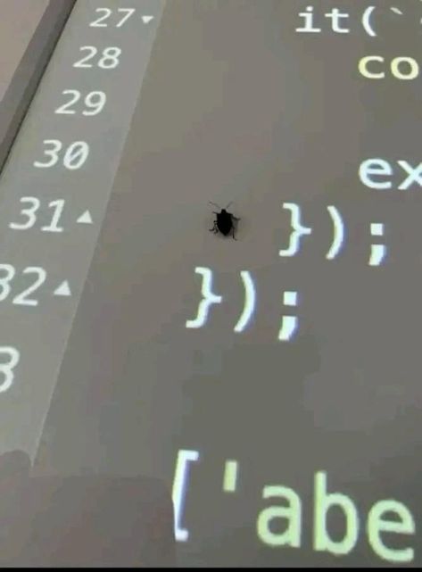 Guys look I found a bug in line 31 Coding Humor, Programmer Jokes, Nerd Memes, Nerdy Jokes, Programming Humor, Computer Science Programming, Learn Web Development, Programmer Humor, Tech Humor