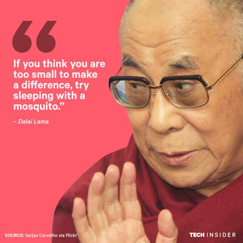 Dalai Lama Quotes Happiness, Dali Lama Quotes, Llama Quote, Personal Trainer Quotes, Dali Lama, Lama Quotes, Dalai Lama Quotes, About Happiness, Quotes Happiness