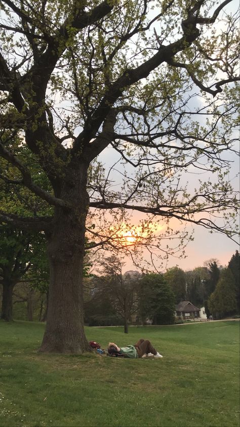 Big Trees Aesthetic, Lying In A Field Aesthetic, Sitting Under A Tree Aesthetic, Lying In Grass Aesthetic, Reading Under A Tree Aesthetic, Cloud Watching Aesthetic, Under A Tree Aesthetic, Sitting Under A Tree Drawing, Big Tree Aesthetic