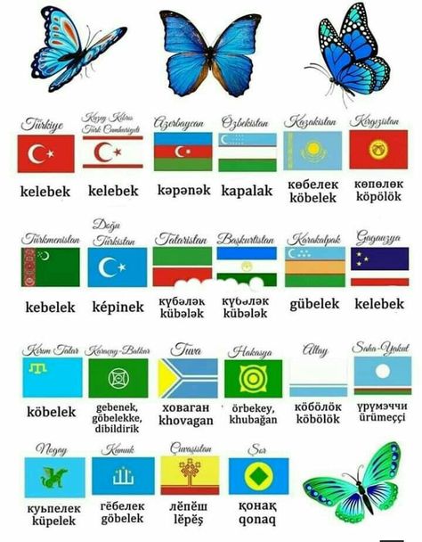 Turan Azerbaijan Art, Turkic Languages, Turkish Flag, History Of Islam, European Languages, Language Study, State Flags, Mongolia, Alphabet