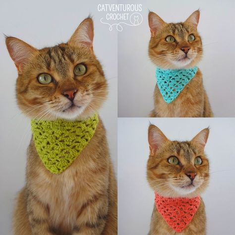 Cat Scarf Pattern, Fun Crochet Patterns, Cat Hat Pattern, Crochet Collar Pattern, Crochet Cat Hat, Crochet Dog Patterns, Crochet Bandana, Beaded Dog Collar, Crochet Hats Free Pattern