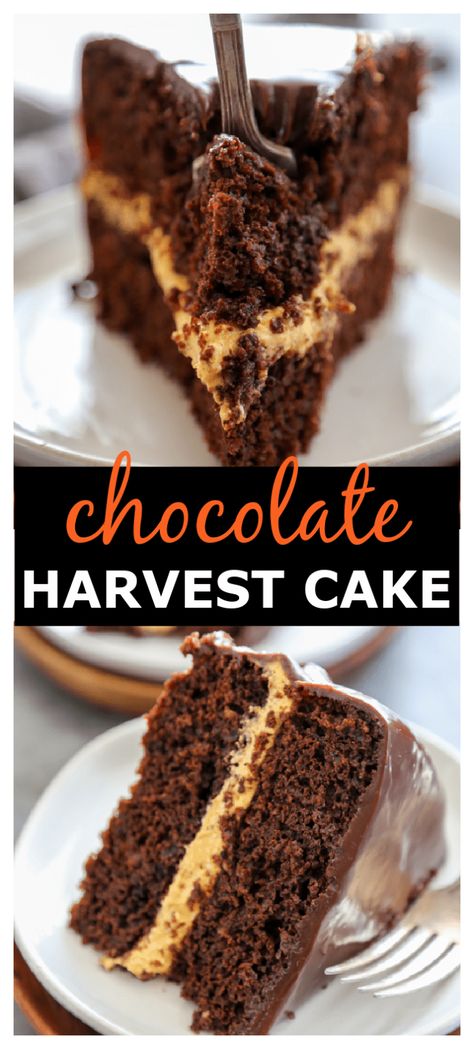 Harvest Cake, Thanksgiving Chocolates, Chocolate Pumpkin Cake, Mouthwatering Desserts, Friends Recipes, Pumpkin Cream Cheese, Treats Recipes, Fall Faves, Pumpkin Cream Cheeses