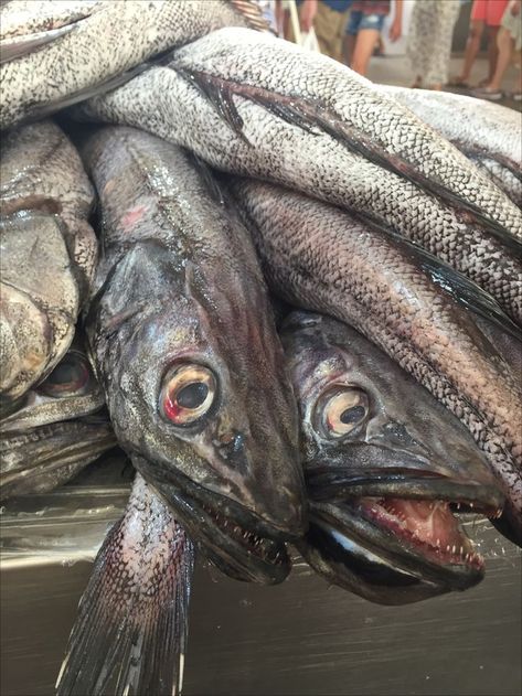 Hake fish on the fish counter in a Sardinian fish market Hake Fish, Fish Market, The Fish, Meat, Fish