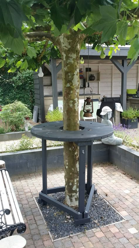 Table Around Tree, Tree Bar, Landscaping Around Trees, Outdoor Restaurant Design, Outdoor Space Design, Picnic Decorations, Backyard Pavilion, Tree Table, Backyard Playground