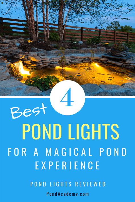 Pond Lights Ideas, Koi Pond Lighting Ideas, Koi Pond Lighting, Pond Lighting Ideas, Magical Pond, Pond Inspiration, Waterfall Designs, Pond Lighting, Coy Pond