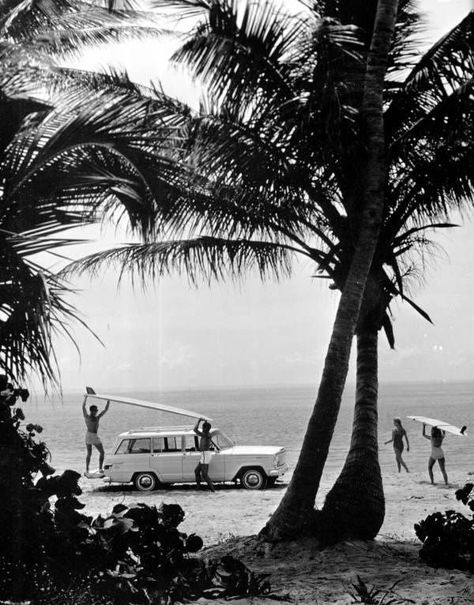 People On The Beach, Dengeki Daisy, Indian Rocks Beach, Black And White Beach, Surf Vibes, Retro Surf, Fotografi Vintage, Samurai Tattoo, Surfing Photography