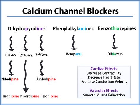 Alpha And Beta Receptors, Beta Receptors, Calcium Channel Blockers, Nursing Information, Nursing Board, Bells Palsy, Basic Anatomy And Physiology, Pa School, Pharmacology Nursing