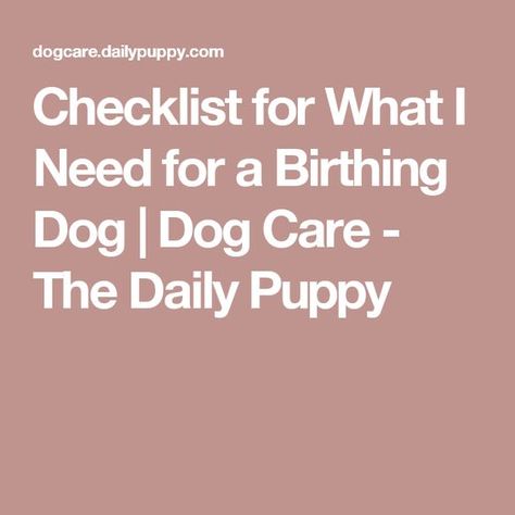 Pitsky Puppy, Dog Having Puppies, Dog Labor, Birth Checklist, Dog Whelping, Dog Breeding Business, Whelping Puppies, Dog Birth, Birth Delivery