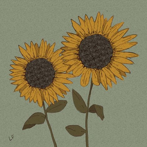 Libby Frame on Instagram: “Sunflower doods . . . . . #art #illustration #illustrationdaily #artistsontumblr #drawing #procreate #conceptart #illustrator #cute #sketch…” Aesthetic Sunflower Drawing, Libby Frame, Aesthetic Sunflower, Sunflower Sketches, Sunflower Illustration, Sunflower Drawing, Sunflower Wallpaper, Vintage Drawing, Sunflower Art