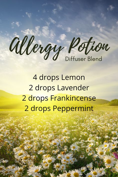 Homemade Alternatives, Seasonal Allergy Relief, Essential Oils Allergies, Diffuser Scents, Essential Oil Perfumes Recipes, Diffuser Oils, Essential Oil Combinations, Doterra Essential Oils Recipes, Essential Oil Diffuser Blends Recipes