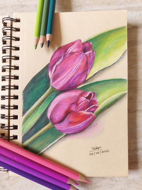 Art Sketches Pencil Colour, Flower Colored Pencil Drawing, Pencil Colour Drawing Flower, Colored Pencil Art Easy Ideas, Easy Realistic Drawings, Pencil Colour Painting, Pencil Flowers, Realistic Flower Drawing, Colored Pencil Artwork Ideas