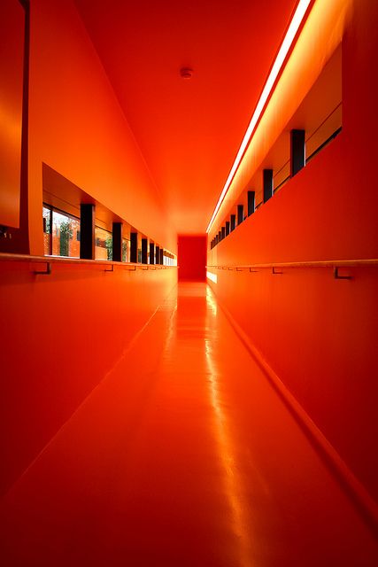 Orange | Arancio | Oranje | オレンジ | Colour | Texture | Style | Form | Pattern | Orange Aesthetics, Colour Aesthetic, St Trinians, Aesthetic Orange, Orange Walls, Rainbow Aesthetic, Orange You Glad, Colorful Roses, Orange Aesthetic