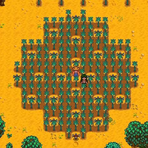 Stardew Scarecrow Layout, Stardew Valley Scarecrow Layout, Stardew Valley Farmer, Island Decoration Ideas, Stardew Layout, Stardew Valley Game, Stardew Farms, Stardew Valley Layout, Stardew Valley Tips