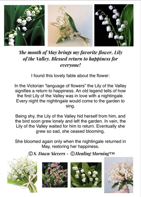 Healing Morning Extra™️. Today, we welcome the month of May with the beauty of my favorite flower, Lily of the Valley, and this lovely fable. ✨ #HealingMorningExtra™️ #FirstDayOfMay #LilyOfTheValley #ReturnToHappiness Lily If The Valley, Lily Of The Valley Plant, Lily Of The Valley Quotes, Lily Of Valley Meaning, Lily Of The Valley Meaning, Lilies Of The Valley, Lilly Of The Valley Tattoo Birth Flower, Lily Of The Valley Aesthetic, Lily Of The Valley Symbolism