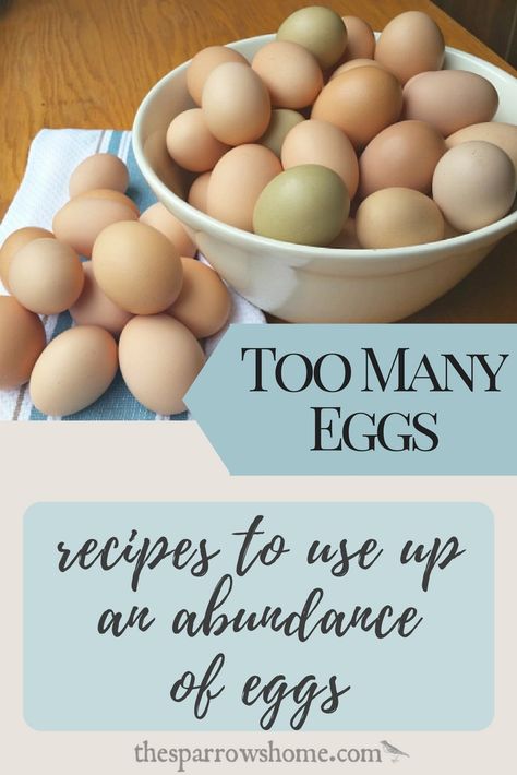 When we had backyard chickens I always had more eggs than I knew what to do with. This is a fantastic collection of recipes for when you have LOTS of EGGS! Too Many Eggs, Eggs Dinner, No Egg Desserts, Eggs Recipes, Homemade Pudding, Farm Eggs, Egg Muffins, Farm Fresh Eggs, Egg Dish