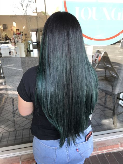 Dark Green Hair With Black Roots, Dark Dark Green Hair, Dark Green Black Hair, Black And Dark Green Hair, Juniper Green Hair, Deep Green Hair, Black Green Hair, Green Black Hair, Violet Black Hair