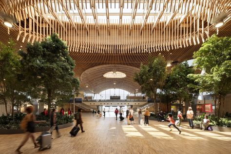 Portland Airport Has a New Terminal, With an Indoor Forest, Local Food and Beer, and Therapy Llamas Portland Airport, Portland International Airport, Mass Timber, World Industries, Timber Architecture, Airport Terminal, Timber Roof, Kengo Kuma, Airports Terminal