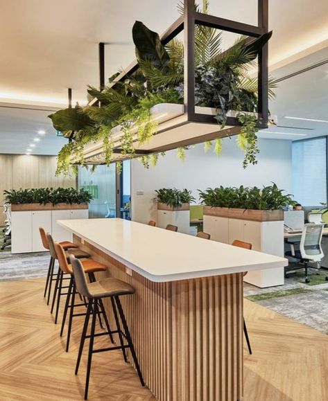 Pantry Area Design, Biophilic Office Design, Office Collaboration Space, Biophilic Office, Office Cafeteria, Cafeteria Design, Work Cafe, Office Pantry, Modular Workstations