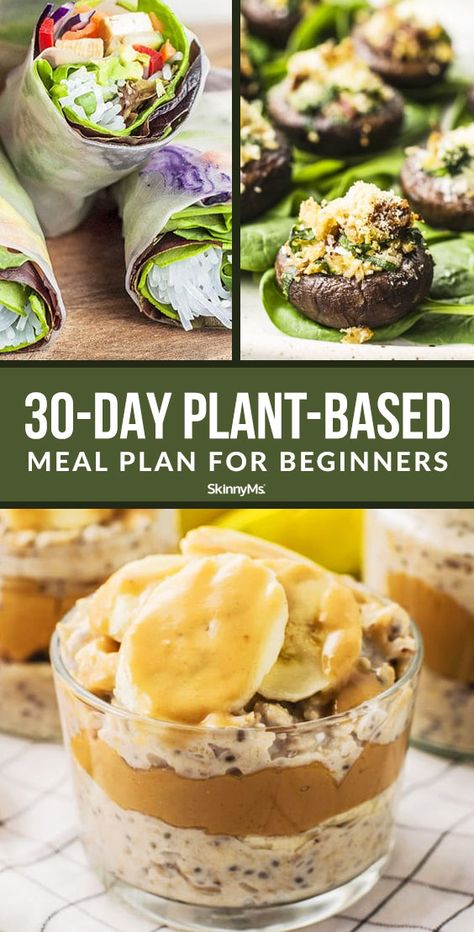 Plant Based Diet Meals, Plant Based Diet Meal Plan, Meal Plan For Beginners, Plant Based Meal Planning, Healthy Plant Based Recipes, Plant Based Diet Recipes, Plant Based Whole Foods, Ketogenic Diet Meal Plan, Vegan Meal Plans