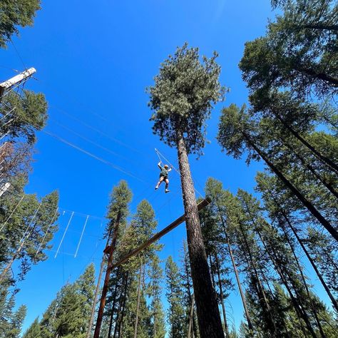 camp wangy has all my love ♡ High Ropes, Types Of Climbing, High Ropes Course, Climbing Helmets, Rock Climbing Gear, Ropes Course, Climbing Clothes, Climbing Rope, My Love