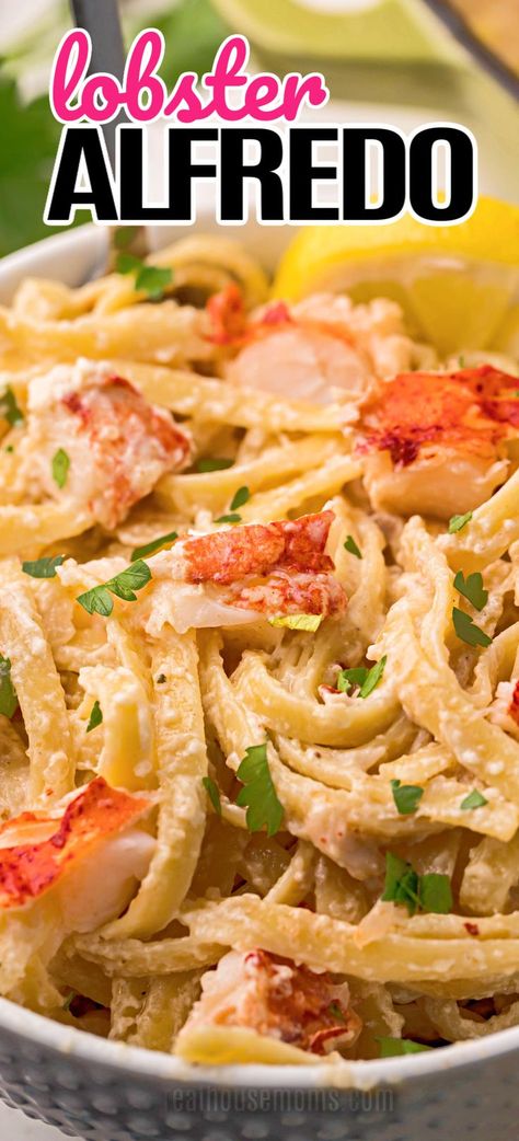 This delightfully easy Lobster Alfredo takes all of 30 minutes to make and will have everyone at the dinner table feeling extra fancy! #RealHousemoms #lobster #fettuccine #alfredo #pasta #seafood #parmesan #easydinner #30minsorless #italianfood #valentinesday #newyearseve Lobster Alfredo Recipe, Lobster Alfredo, Fettucini Alfredo Recipe, Fettuccine Alfredo Pasta, Fetuccini Alfredo, Lobster Pasta Recipe, Chicken And Shrimp Carbonara, Shrimp Carbonara, Seafood Alfredo