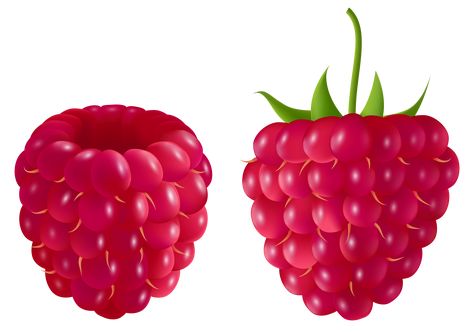 Raspberry Clipart, Berry Drawing, Raspberry Images, Dream Catcher Vector, Wallpaper Drawing, Raspberry Fruit, Fruit Wallpaper, Sweet Cupcakes, Fruit Photography