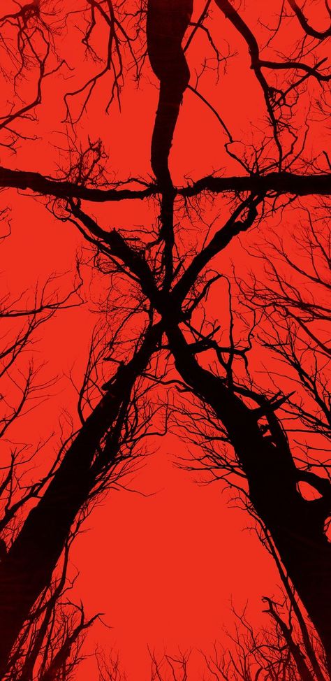 Wallpapers For Phone, Witch Wallpaper, Blair Witch Project, Blair Witch, Most Beautiful Wallpaper, Great Backgrounds, Horror Movie Posters, Wallpaper Gallery, Movie Wallpapers