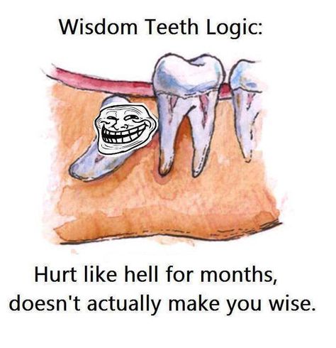 wisdom teeth Wisdom Teeth Meme, Teeth Images, Teeth Surgery, Wisdom Tooth Extraction, Teeth Alignment, Teeth Dentist, Wisdom Teeth Removal, Tooth Removal, Family Dentist