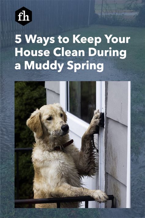 5 Ways to Keep Your House Clean During a Muddy Spring Keeping House Clean With Dogs, How To Keep Your House Clean With Dogs, How To Keep House Clean With Dogs, Dog Cleaning Tips House, Spring Cleaning Checklist Printable, Keep Your House Clean, Outside Dogs, Brand Ideas, Dog Cleaning