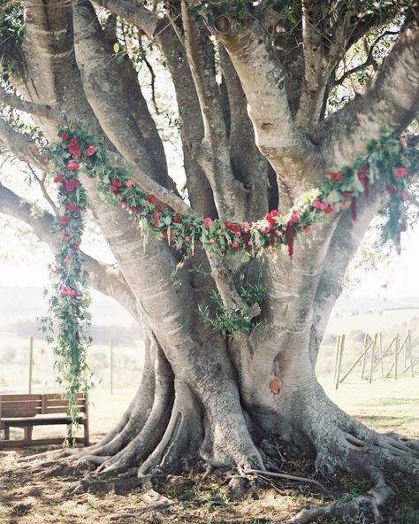 20 Ways to Decorate a Wedding Ceremony Held Beneath Trees Tree Wedding Ceremony, Wedding Arches Outdoors, Boho Tree, Wedding Ceremony Ideas, Beautiful Outdoor Wedding, Wedding Ceremony Arch, Outdoor Wedding Inspiration, Grass Wedding, Old Tree