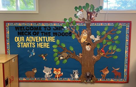 Safari Bulletin Boards, Animals Activities, Bulletin Board Ideas, Animal Activities, Classroom Themes, Board Ideas, Forest Animals, Woodland Animals, Bulletin Board