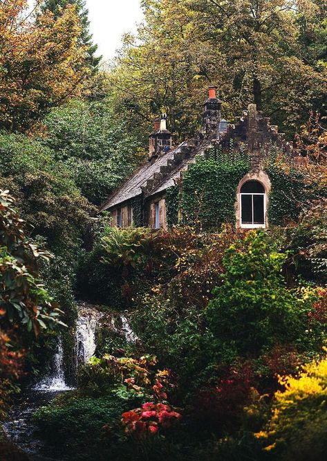 Small cozy cottage surrounded by nature Cottage Aesthetic, Fairytale Cottage, Cottage In The Woods, Dream Cottage, Cottage Core Aesthetic, English Cottage, Garden Cottage, English Countryside, Cozy Cottage