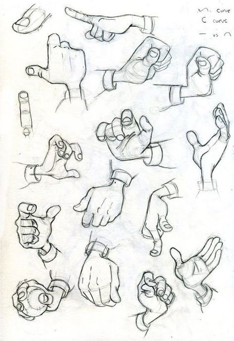 Hand Gestures Drawing, Fingers Drawing, Ako Kresliť, Hand Positions, رسم كاريكاتير, Hand Gestures, Hand Drawing Reference, 강아지 그림, Character Design Sketches