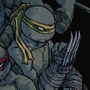 TMNT comics icon Comic Profile Picture, Comic Profile, Raphael Tmnt, Raphael Ninja Turtle, Tmnt Mikey, Tmnt Characters, Leonardo Tmnt, Tmnt Comics, Dc Icons