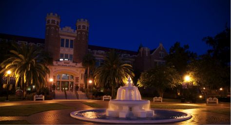 20 Reasons Not to Go to FSU | Her Campus Fsu Campus Aesthetic, Fsu Aesthetic, Fsu Campus, Fsu Dorm, Campus Aesthetic, Florida State Football, College Visit, Dream College, Her Campus