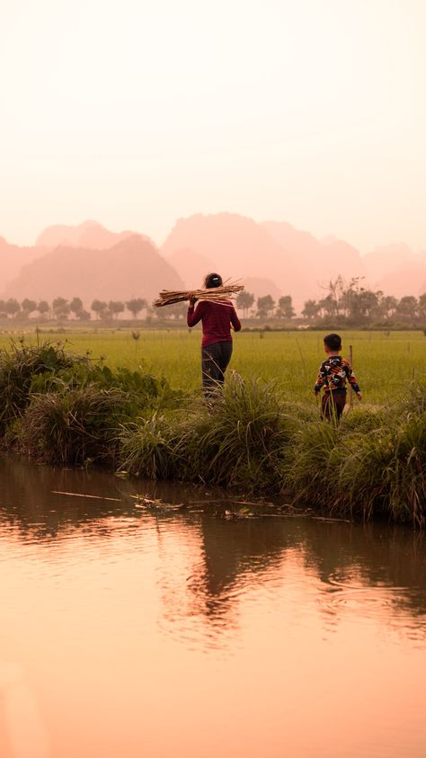 Découvrez les paysages magnifiques du Vietnam, sa culture et ses saveurs culinaires dans notre guide de voyage en Asie. Vietnam Voyage, Vietnam Travel, Philippines, Vietnam, Travel