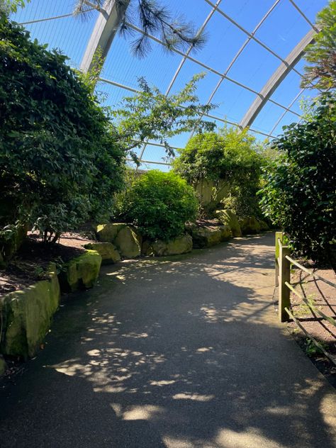 Aviary
Path
Nature
Walk
Aesthetic
Plants 
Trees
Shrubbery Indoor Greenhouse, Blackpool, Walking In Nature, Aesthetic Photo