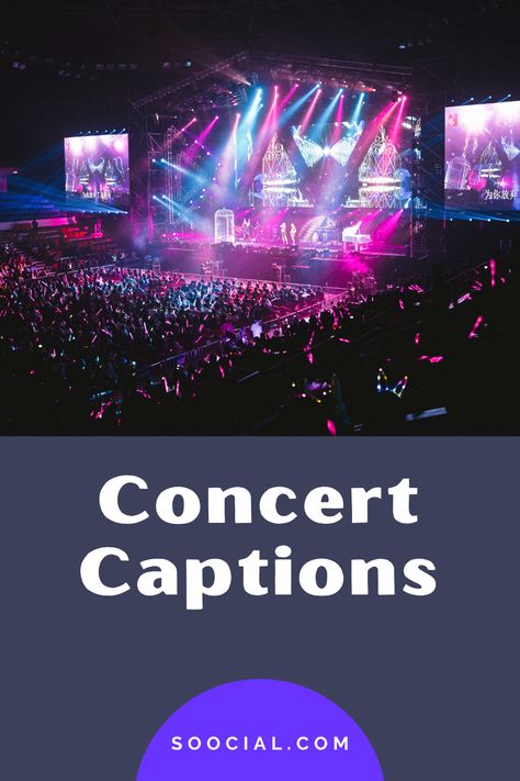 Night Concert Aesthetic, Concert Quotes, Music Fest, Live Concert, Instagram Captions, Live Music, Music Festival, Media Marketing, Everyday Life