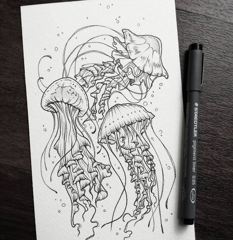 Jellyfish Quotes, Jellyfish Facts, Tattoo Jellyfish, Jellyfish Costume, Jellyfish Illustration, Jellyfish Photography, Jellyfish Tank, Jellyfish Decorations, Jellyfish Aquarium