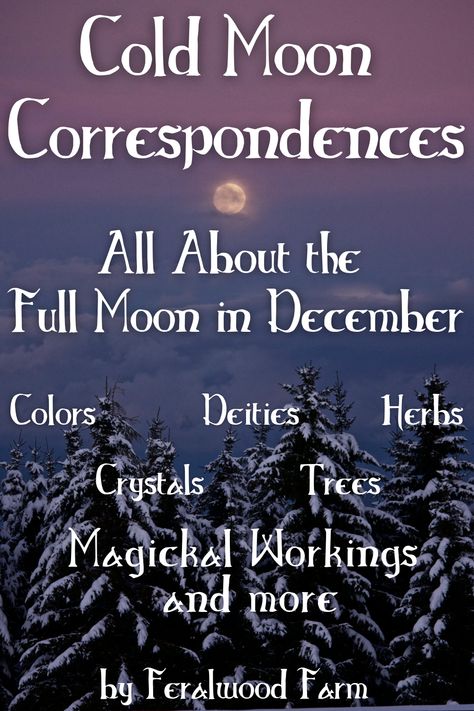 Learn about the Cold Moon, December’s Full Moon. Learn about the history, alternative names, correspondences, and how to utilize its energy in your magickal workings. December Full Cold Moon, Cold Moon Correspondences, Christmas Full Moon, December Full Moon 2023, December New Moon Ritual, New Moon Correspondences, December Correspondences, Cold Moon Ritual, Full Moon Effects