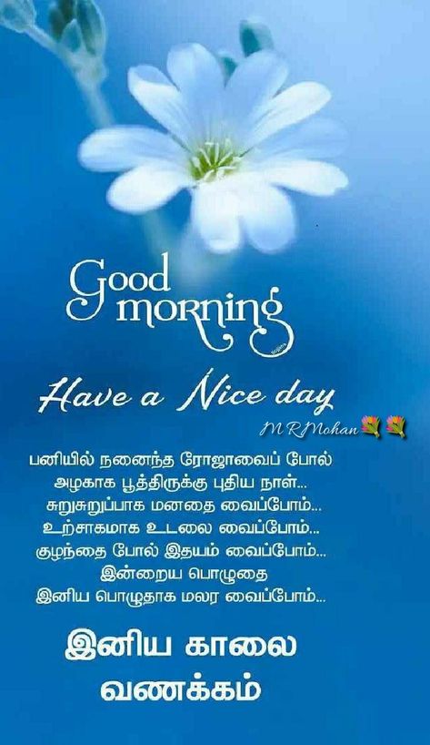 Good Morning Wishes In Tamil, Morning Status, Morning Message, Good Morning Beautiful Quotes, Good Morning Friends Quotes, Photo Album Quote, Morning Friends, Morning Beautiful, Morning Inspirational Quotes