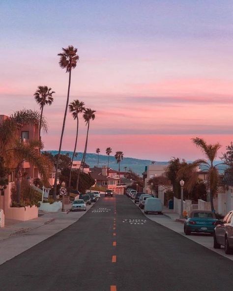 Bucket List Travels✈️ on Twitter: "Los Angeles, California… " Travel List, Pink Sky, Venice Beach, Pretty Places, Los Angeles California, Palm Trees, Places To Travel, Travel Inspiration, Places To Go