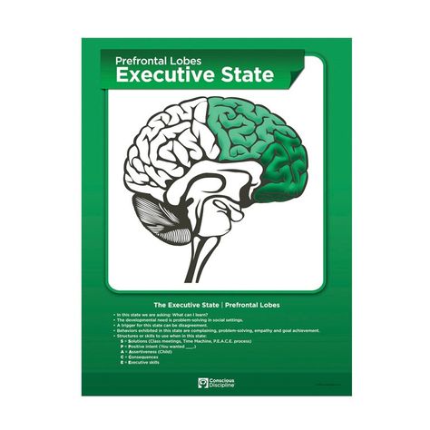 Brain States, Learning States, Conscious Discipline, Class Meetings, State Posters, Brain Facts, Achieving Goals, Positive Parenting, Mental Wellness