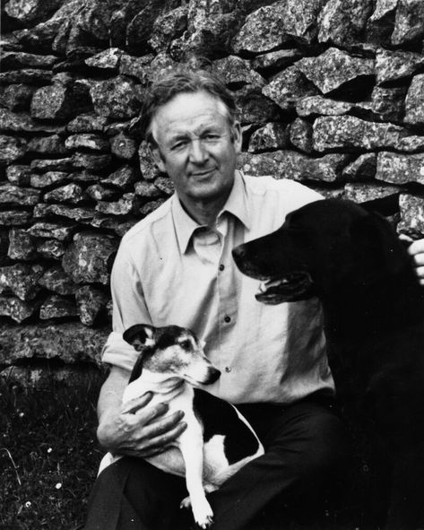 ‘All Creatures Great and Small’: Who Was the Real James Herriot? - The New York Times The Yorkshire Vet, Rachel Shenton, Big Fluffy Dogs, Veterinary Studies, James Herriot, Wanted Ads, Classic Television, People Of Interest, Yorkshire Dales