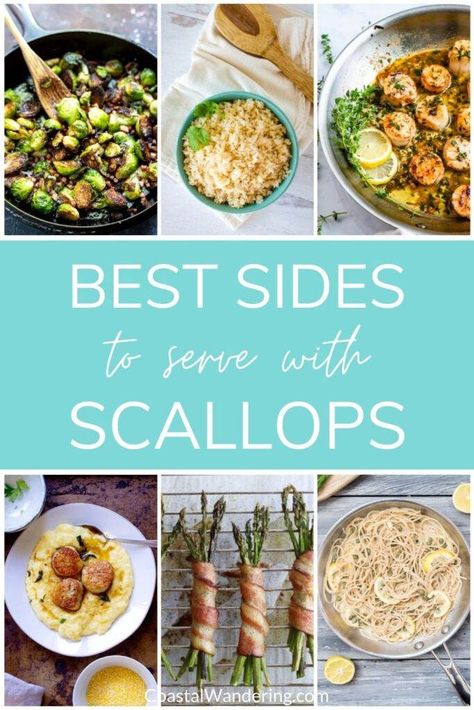 Scallops And Pasta Healthy, What To Pair With Scallops, Scallop Sides Dishes, What To Make With Scallops, Scallop Dishes Dinners, What To Eat With Scallops, Keto Scallops Recipes, Meals With Scallops, Sides With Scallops