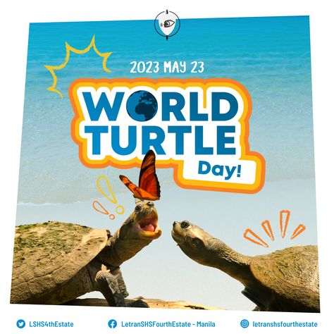 World Turtle Day #schoolpubmat #pubmat #graphicdesign Doodle Poster, World Turtle, World Turtle Day, Animal Day, Turtle Day, Cartoon Art, Doodles, Graphic Design, Quick Saves