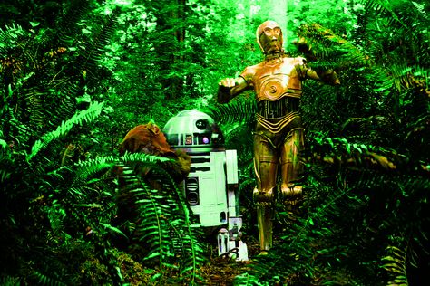 green - 2 Star Wars Green, Star Wars Green Aesthetic, C3po And R2d2, Star Wars Colors, Dark Side Star Wars, Star Wall, Star Wars Images, Star Wars Episodes, Star Wars Pictures