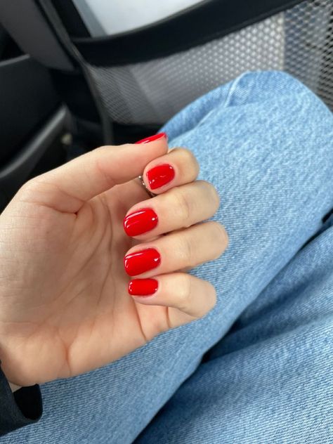 Electric Nail Colors, Red Nails Squoval, Red Classic Nails, Red Nails Gel Short, Classy Christmas Nails Short Red, Squoval Red Nails, Short Round Red Nails, Minimalist Red Nails, Red Nails With Accent Nail